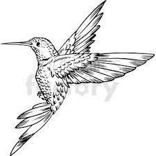 Black And White Hummingbird Vector Clipart Hummingbird Tattoo Black Hummingbird Tattoo Hummingbird Black And White