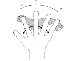 Now draw four fingers as the artists of drawingforall.net did. 5 Abduction Of The Fingers The Fingers Abduct About The Middle Finger Download Scientific Diagram