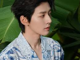 6 chương trình truyền hình có sự tham gia của Đặng Vi