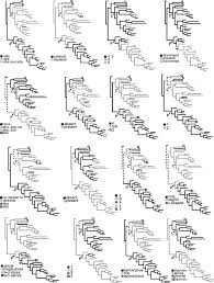 Image result for Polygala usafuensis