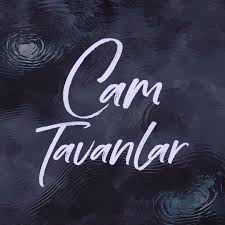 Help cope with the side effects of cancer treatments, such as nausea, pain, and fatigue. Cam Tavanlar Home Facebook