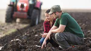 Consilierii judeţeni au aprobat preţurile medii la principalele produse agricole pe baza cărora se calculează veniturile din arendă în anul 2017. PreÈurile Medii Pentru Produsele Agricole Care IntrÄ In Calculul Impozitului Pe ArendÄ