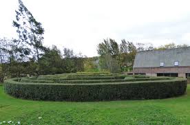 maze picture of crook hall gardens