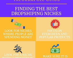 Niche of the dropshipping website
