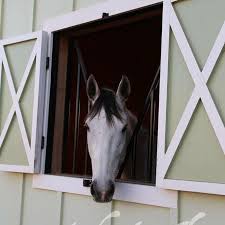 Maybe you would like to learn more about one of these? Sea Horse Stables Home Facebook