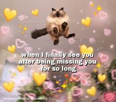 Oof Tags In 2020 Cute Memes Cute Love Memes Love Memes