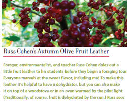 Pin On Food Root Cellar Storage
