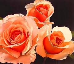 Imagenes Arte Pinturas Rosas Oleo Pintor ruso, oleg trofimov, nació en el año 1962 pinturas de floreros en arte impresionista al oleo cuadros de bodegones con flores p. imagenes arte pinturas rosas oleo