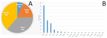 Image result for Eriosema rhynchosioides