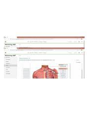 It consists of areolar tissue containing in its meshes much fat, and may be separated into two or more layers the superficial layer is continuous above with the superficial fascia of the abdomen. Muscles Of The Chest Abdomen And Thigh Deep Dissection 1 Of 2 Jpg Scores X X C Not Secure Course Hero