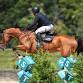 HITS Hudson Valley Tuesday I - HITS-on-the-Hudson Equestrian Event, 454 Washington Ave Event Image