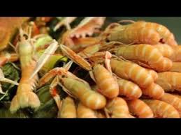 Comment Cuire Des Langoustines Comment Cuisiner Les Fruits De Mer Les Reponses Ici Langoustines Comment Cuisiner Recettes Bretonnes
