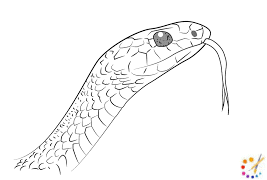 We did not find results for: How To Draw A Snake Step By Step For Kids Beginners