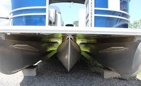 Image result for Manganese Luster 2025 LZ