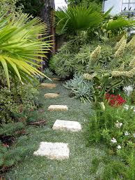 Image result for Falkia