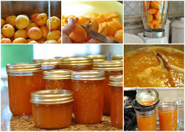 Apricot Jam Mennonite Girls Can Cook