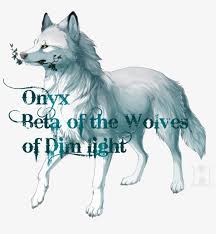 Most prominent and current of these are the sled dogs of donna dowling and others in the interior of the american state of alaska. Wolf And Blueberries By Hioshiru D63rhwf Mackenzie River Husky Png Image Transparent Png Free Download On Seekpng