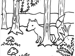 Coloriage A Imprimer Renard Dans La Foret Coloriage A Imprimer Coloriage Coloriage Automne