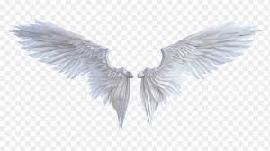3d Angel Wings On Transparent Background Png Similar Png A penguin's warming fat helps them to live in the cold antarctic. 3d angel wings on transparent