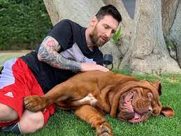 In such page, we additionally have number of images out there. Lionel Messi And Wife Antonela Roccuzzo Show Off Newest Member Of Family A Rare Toy Poodle Dog Called Abu
