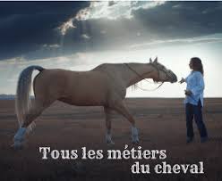 8 Metiers Passionnants Avec Les Chevaux