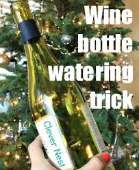 My Clever Nest Keep That Tree Alive The Wine Bottle Trick Wine Bottle Wine Bottle Diy Bottle