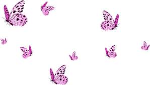 Flying Butterflies Png Transparent Background Butterfly Png Transparent Cartoon Jing Fm Download 770+ royalty free butterfly transparent background vector images. transparent background butterfly png