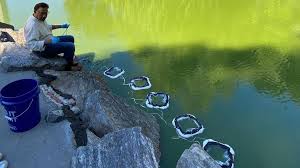 Columbia Climate School