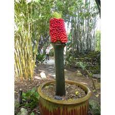 Pin On Growing