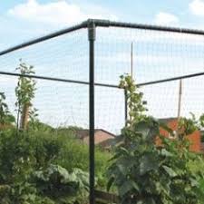 New requirements for use of. 7 Garden Fruit Trees Ideas Fruit Trees Fruit Cage Garden