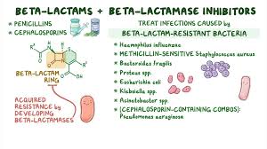 Video: Antibiotics - Beta lactam and beta lactamase inhibitor combinations:  Nursing pharmacology