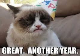 16 Ideas Quotes Happy Birthday Funny Grumpy Cat Grumpy Cat Humor Grumpy Cat Cat Birthday Memes