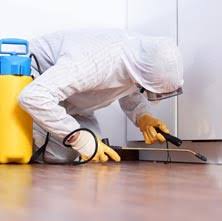 Pest ban providing best pest control services in greater noida india. Top 10 Pest Control Services In Noida Thepackersmovers