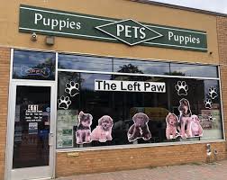 Large selection of finest puppies for sale: The Place For All Your Pets And Their Needs The Left Paw