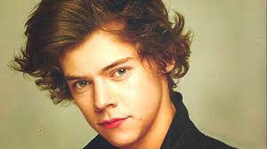 Résultat de recherche d'images pour "harry styles 2015"