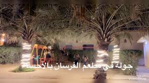 جولة سياحية في مطاعم ونخيل الأحساء مطعم الفرسان Youtube