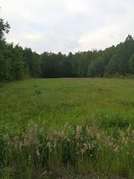 Gdańsk gdynia jastarnia >> śląskie: Dzialka Na Sprzedaz Grebiszew Ul Wspolna Bez Posrednika 4300 M2 193 500 Zl