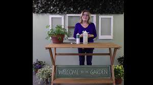 Spray N Grow Youtube