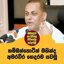 අමරේගේ කැරට්ටුව‎