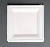 Bagasse Plates Disposable Square Plates Fiesta Compostable Bagasse Square  Plates (50 Pack) P_FC518 Nisbets