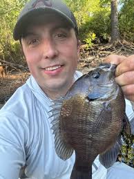 Record Fish Archives