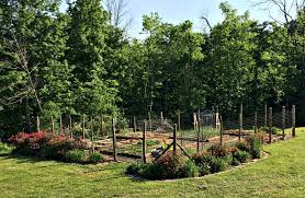 If you have chickens, it can be difficult keeping them out of your gardens! How To Keep Chickens Out Of The Garden Farm Fresh For Life Real Food For Health Wellness