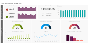 You will be the one to ensure smooth running of. Financial Dashboards See The Best Examples Templates