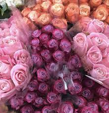 We did not find results for: Wholesale Roses Wholesale Fresh Flowers Wholesale Roses Cheap Flowers
