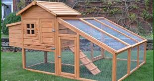 Feelgooduk Poulailler Volailles Rampe D Acces Et Tiroir A Dejections Nch10 M D Or Amazon Fr Animalerie Poulailler Poulailler Portable Cabane A Poule