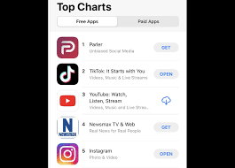 At times it truly feels like some of donald trump's most rabid supporters are living in a completely different country. Parler Free Speech App Tops Charts In Wake Of Trump Defeat Bbc News
