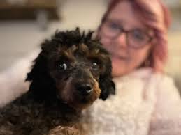 Missing Woman in Somerset, KY