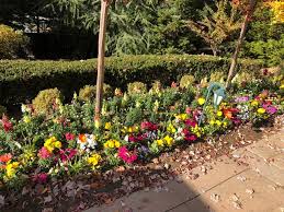 Check spelling or type a new query. Fall Winter Flower Beds Landscape Makeover Folsom Sacramento