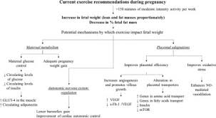 exercise as a therapeutic intervention to optimize fetal