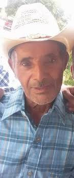 FUERTES VIENTOS DERRIBAN...